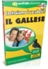 Vocabulary Builder Gallese